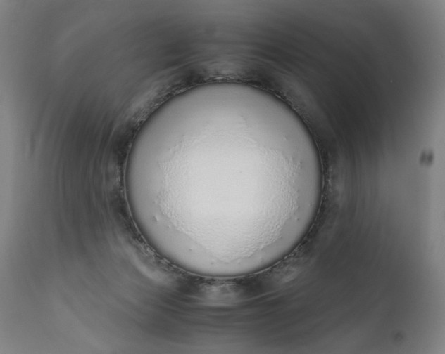 X0000110910173200907021443