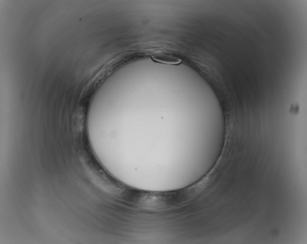 X0000110910174200907021443