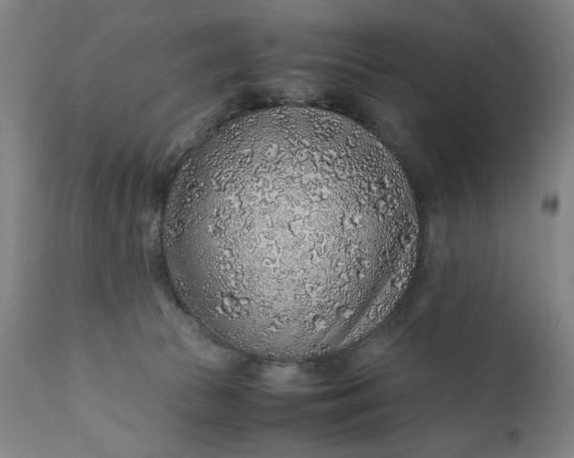 X0000110910177200907021443