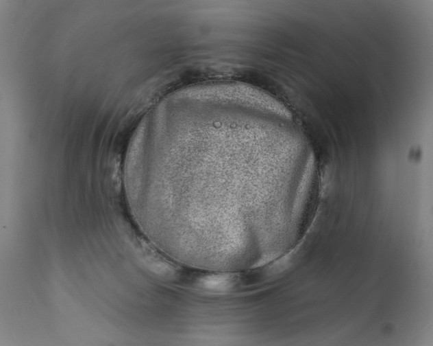 X0000110910178200907021443