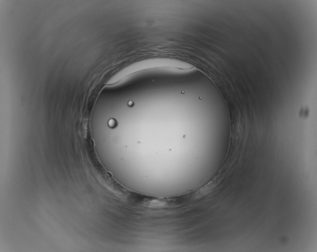 X0000110910180200907021443