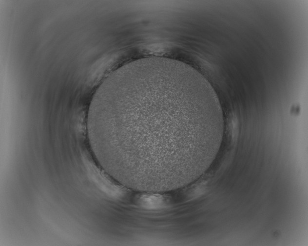 X0000110910181200907021443