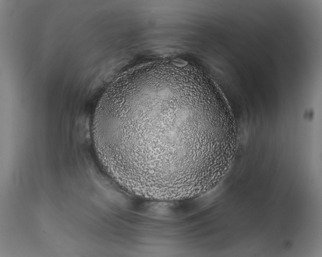 X0000110910182200907021443