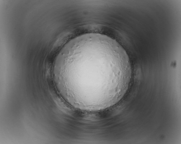 X0000110910185200907021444