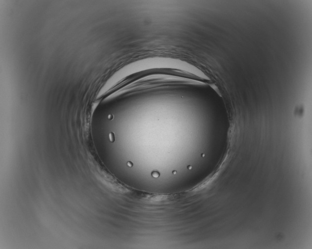 X0000110910186200907021444