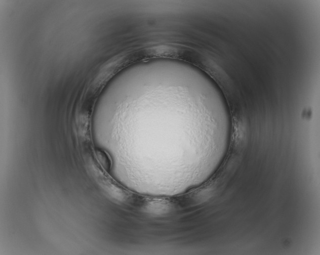 X0000110910189200907021444