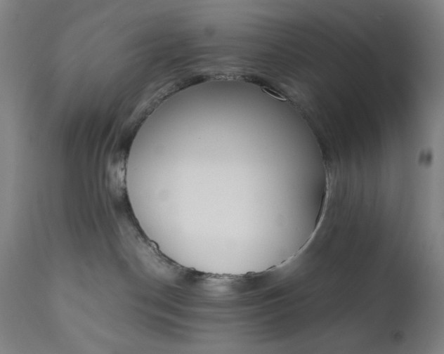 X0000110910190200907021444