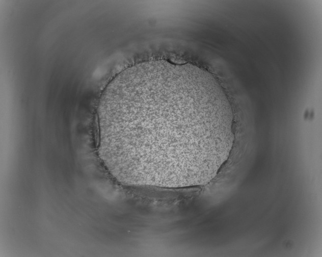 X0000110910192200907021444