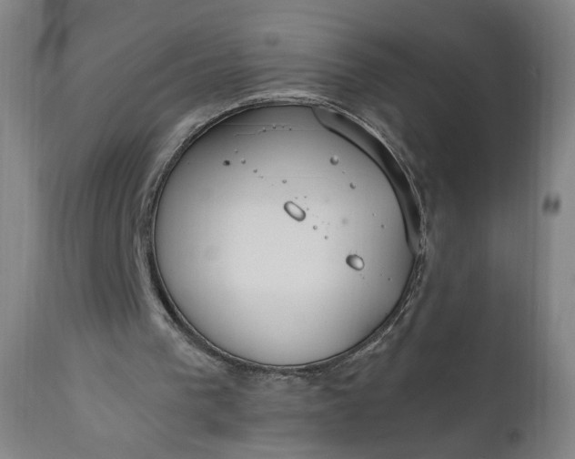 X0000110910193200907021443