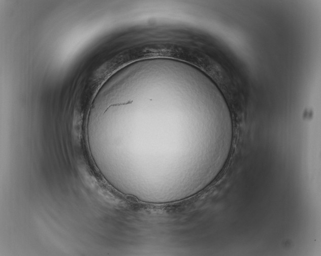 X0000110910194200907021443