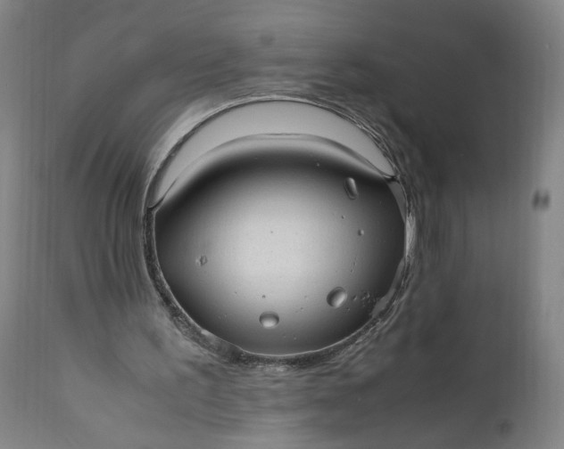 X0000110910195200907021443