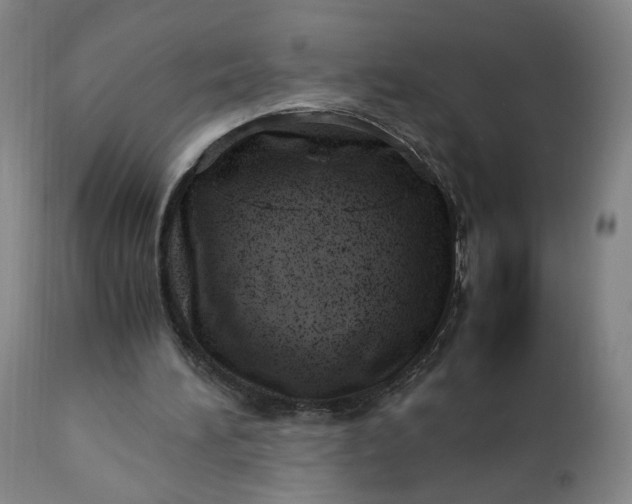 X0000110910196200907021443