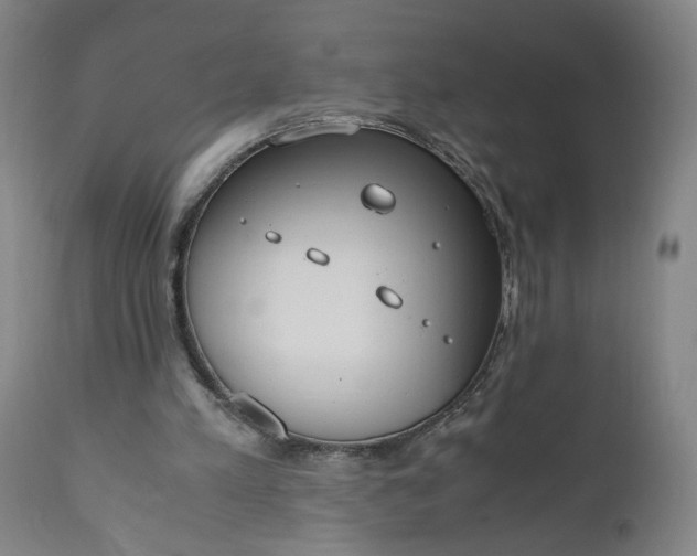 X0000110910197200907021443