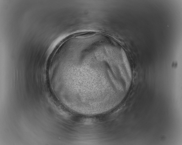 X0000110910200200907021443