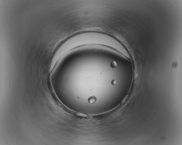 X0000110910201200907021443