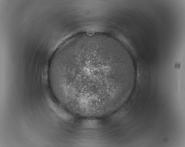 X0000110910202200907021443