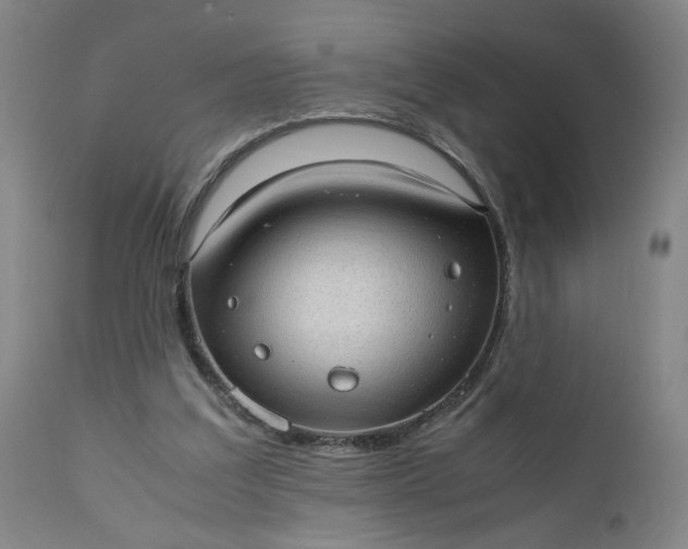 X0000110910203200907021443