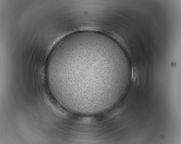 X0000110910204200907021443