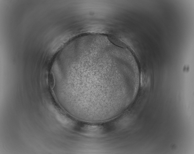 X0000110910205200907021443