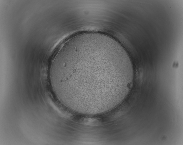 X0000110910208200907021443