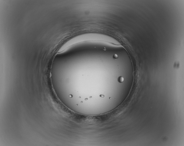 X0000110910209200907021443