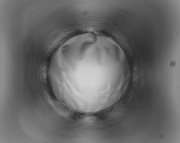 X0000110910210200907021443