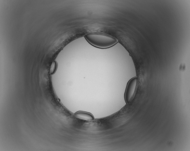 X0000110910211200907021443