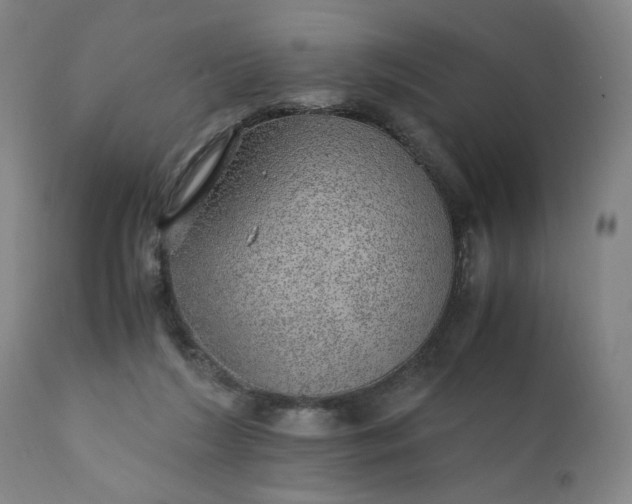 X0000110910212200907021443