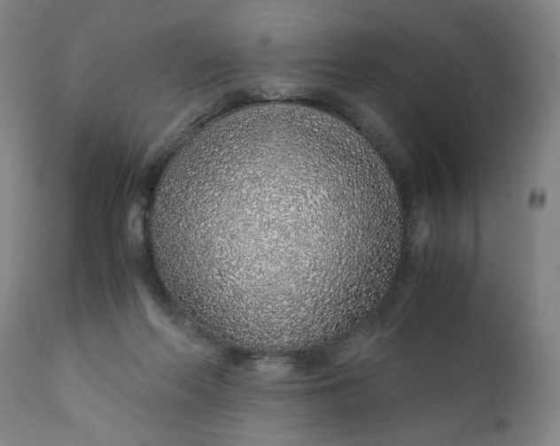 X0000110910214200907021443