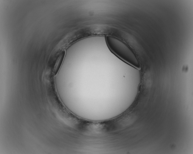 X0000110910217200907021443