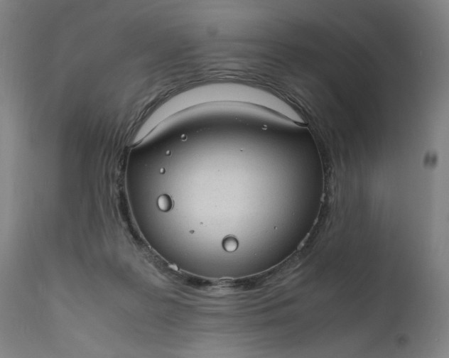 X0000110910219200907021443