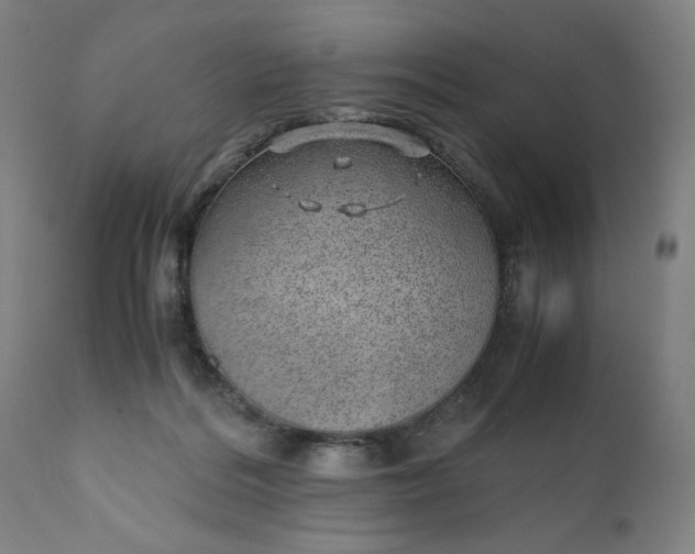 X0000110910220200907021443