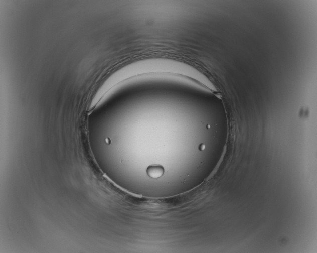 X0000110910221200907021443