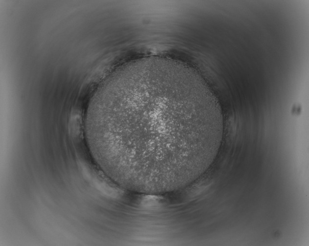 X0000110910222200907021443