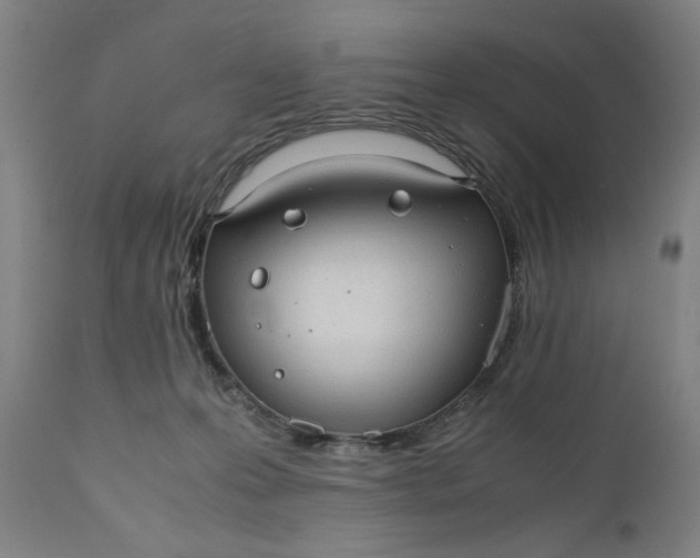 X0000110910223200907021443