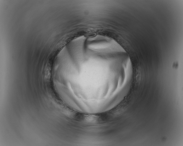 X0000110910226200907021443