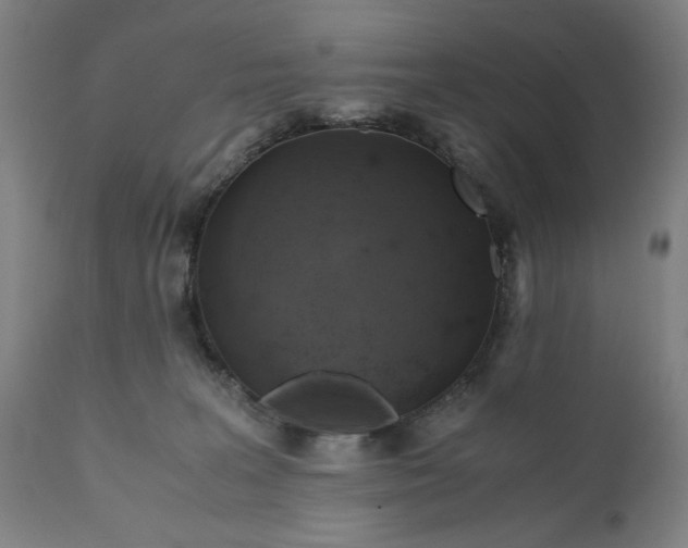 X0000110910227200907021443