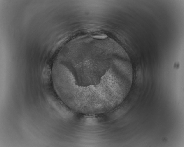 X0000110910228200907021442