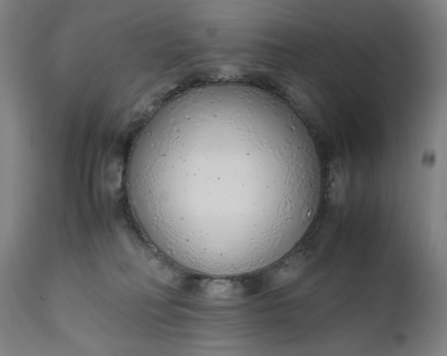 X0000110910230200907021442