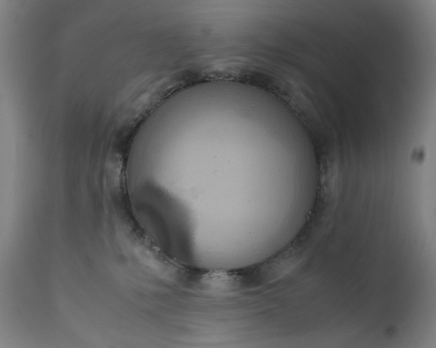 X0000110910231200907021442