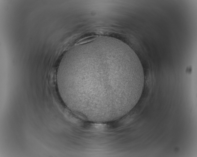 X0000110910233200907021442