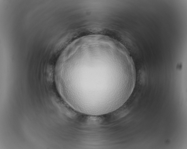 X0000110910234200907021442