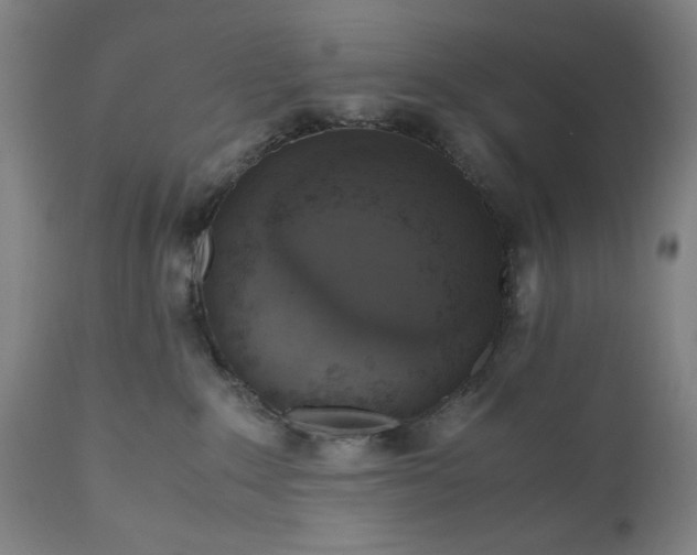 X0000110910235200907021442