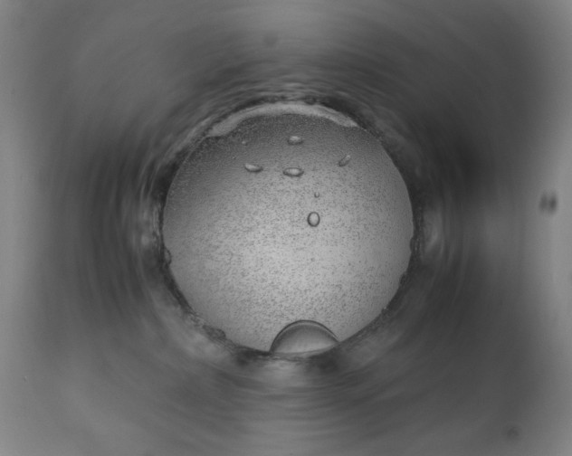 X0000110910236200907021442