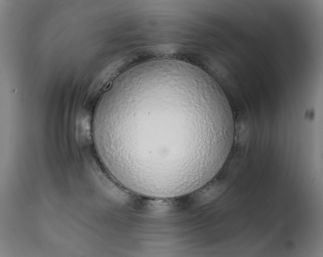 X0000110910238200907021442