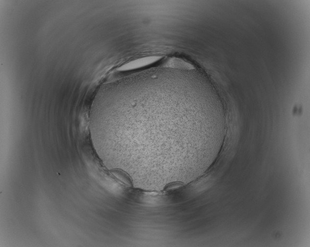 X0000110910240200907021442