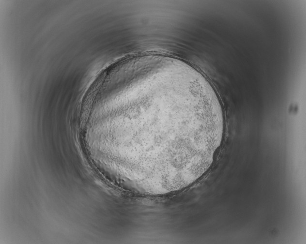 X0000110910241200907021441