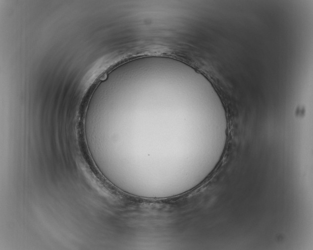 X0000110910242200907021441