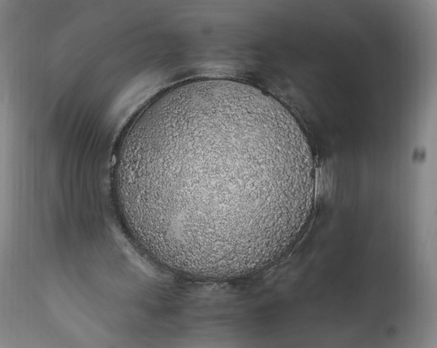 X0000110910243200907021442