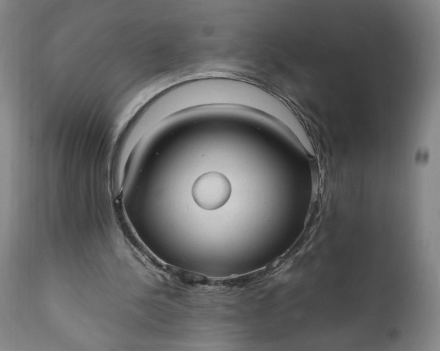 X0000110910244200907021442